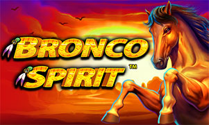 Bronco Spirit™