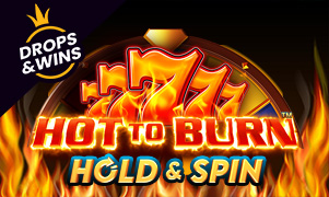 Hot to Burn Hold and Spin™