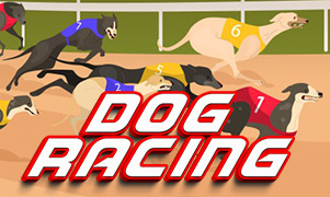 Dog Racing